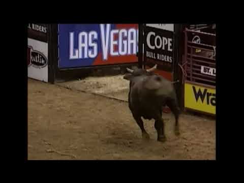 Rampage bucks Corey Navarre - 00 PBR St. Louis