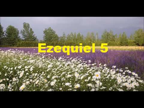 Ezequiel 5