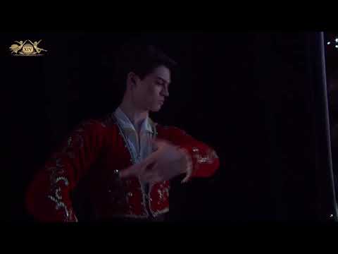 Taiga Kodama-Pomfret (UK) - Basilio Variation | XIV Moscow Ballet Competition, Junior Round 1