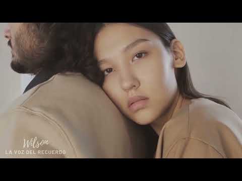 ILUSIÓN. INTERPRETE: WILSON