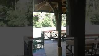 Гнездо совы красная поляна. Гнездо Совы под Скай парком. Гнездо Совы Сочи. Гнездо Совы Сочи ресторан.