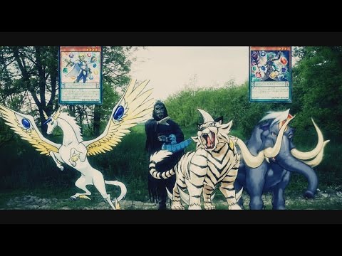 Yugioh Real Life Duel TMS Episode 10 TRAILER