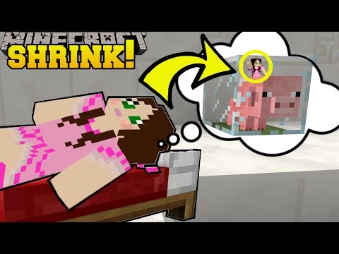 Minecraft: SHRINKING INSIDE A BABY PIG!!! - Asleep 2 - Custom Map [1]
