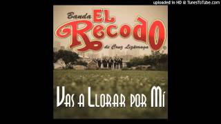 Vas A Llorar Por Mi - Banda El Recodo de Cruz Lizarraga (2013) HD
