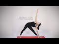How To Do Trikonasana Triangle Pose