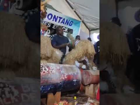 Le meilleur groupe Ngontang de l'Estuaire YENE BEKONE EBACK de KANGO 066 489 884