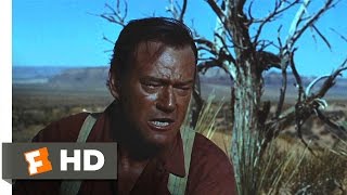 The Searchers (1956) - Don&#39;t Ever Ask Me More! Scene (5/10) | Movieclips