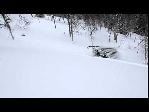 Dan Rogers Viking Roll