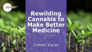 Rewilding Cannabis to Make Better Medicine