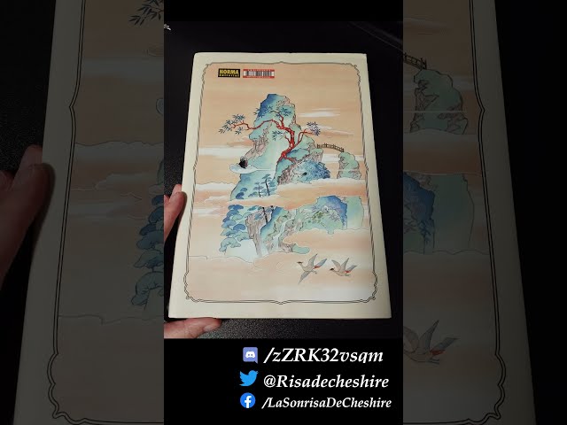 Vídeo relacionado con VIAJES (MANGA)