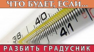ЧТО БУДЕТ, ЕСЛИ... РАЗБИТЬ ГРАДУСНИК
