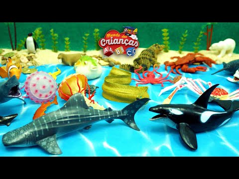 Animais Marinhos de Brinquedo, montagem de cenário