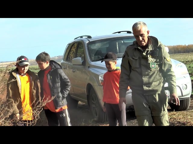 Кыргый хайваннар өчен җимлекләр урнаштыру һәм аларны тукландыру