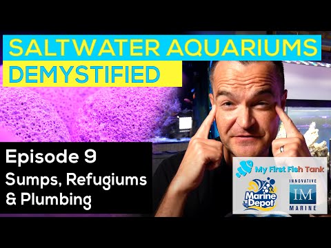 Saltwater Aquariums Demystified Ep. 9: Sumps, Refugiums and Plumbing