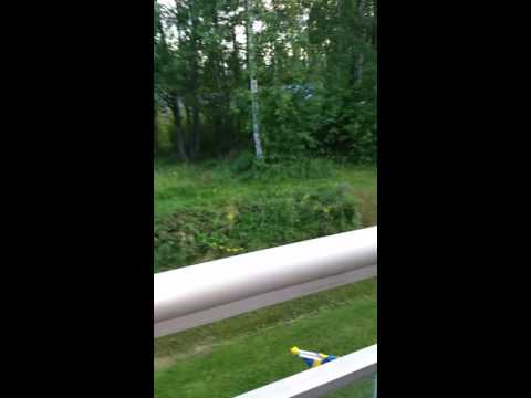 Saga bråkar med ordningsvakt.