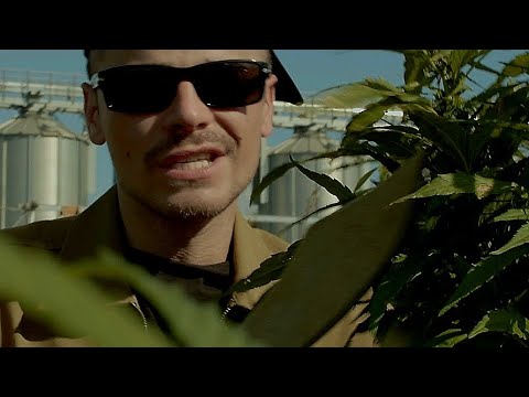KIRAZ (Delicate Soldiers) - YO-ЛКИ ( Video 2023/4 )