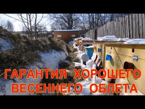 ГАРАНТИЯ ХОРОШЕГО ВЕСЕННЕГО ОБЛЕТА ПЧЕЛ. ВСЁ РАДИ ВЕСЕННЕГО ОБЛЁТА ПЧЁЛ.