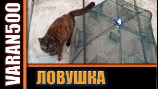 Рыболовная верша паук