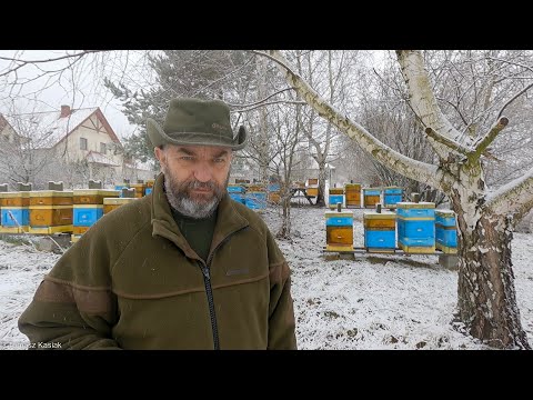 ABC of the apiary, part 19 - apiary in winter