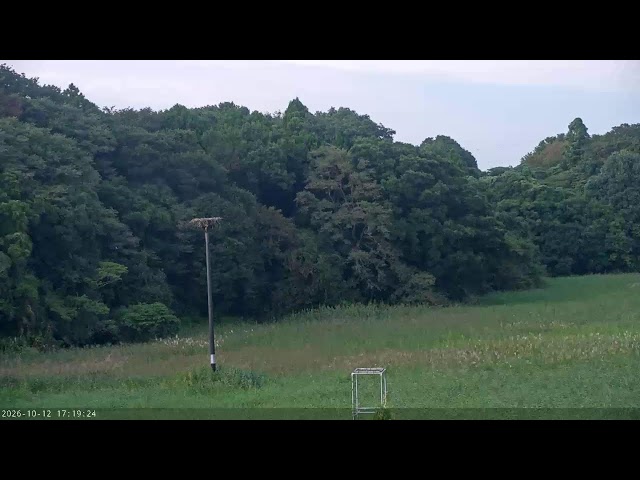 野田市 こうのとりの里