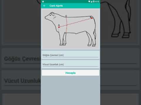 download lagu mp3 mp4 Canl Dana Kilosu Ne Kadar, download lagu Canl Dana Kilosu Ne Kadar gratis, unduh video klip Canl Dana Kilosu Ne Kadar