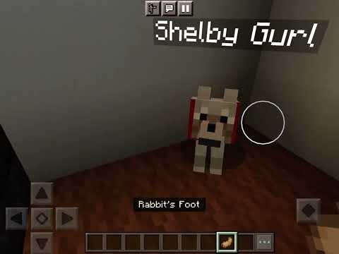 Talking kitty cat in Minecraft 17 Renaming the dog