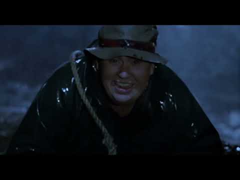 The Great Outdoors Angry Bald Bear