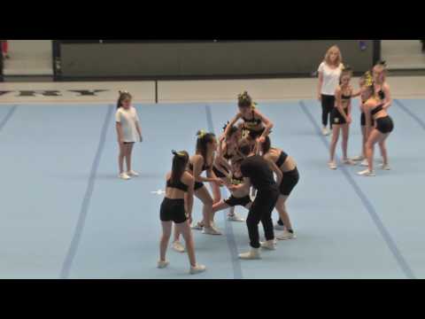 Dogs [Junior 2 - Cheer For Me 2017]