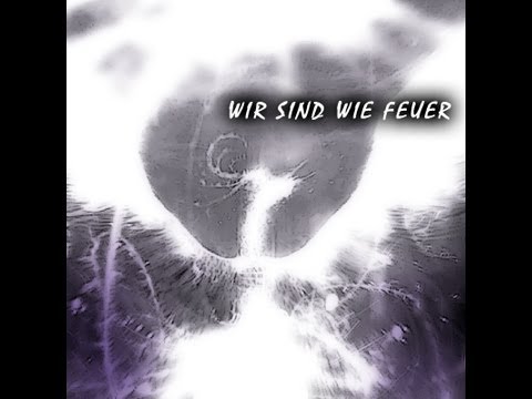 Desastroes- Wir sind wie Feuer [In Ewigkeit LP]