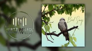 Sarah McLachlan Blackbird 432hz