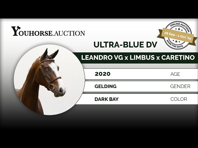 Ultra-Blue DV