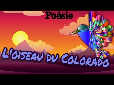 Poesie L Oiseau Du Colorado De Robert Desnos