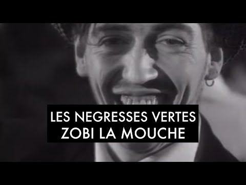 Les Négresses Vertes - Zobi La Mouche (Official Music Video)