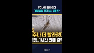 6주나 더 빨라졌다..'벌써 윙윙' 모기 검사 어떻게? #shorts