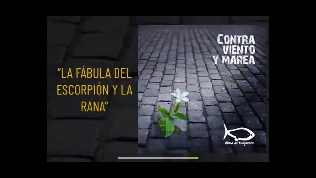Alma de Boquerón - Fábula del escorpión y la rana (Audio Oficial)