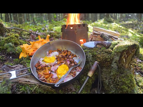 Forage and Cook Wild Mushrooms | Firesteel, Hammock, Stove