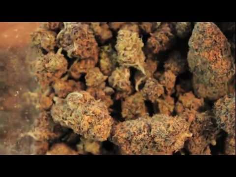 Myster DL - Marijuana (Official Video)