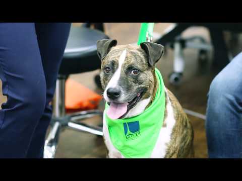 Keating: A New Leash on Life