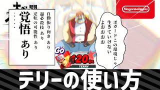 【スマブラSP】テリーの使い方 2