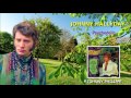 johnny hallyday  psychedelic