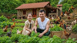 Download lagu The happy life of a single father and his daughter: harvest vegetables and building a chicken coop mp3