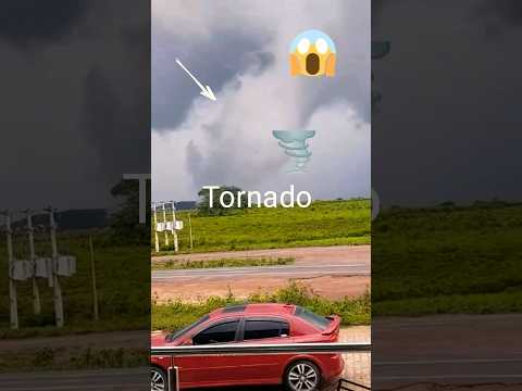 Tornado Assusta Moradores do Município de Nova Floresta - PB  #tornado #paraiba #brasil #shorts