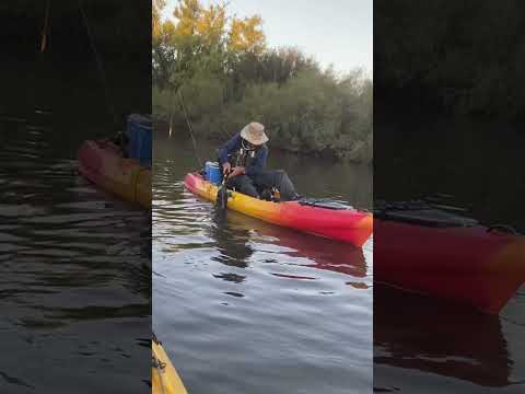 Tornasol 4kg-Foz Rio Tacuarembó Chico no Grande-Nota 0 pro cinegrafista-acabou a bateria bem na hora