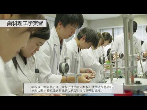 【日本歯科大学 生命歯学部】歯科理工学実習