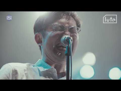 ZAZEN BOYS – 破裂音の朝 @ TOUR MATSURI SESSION