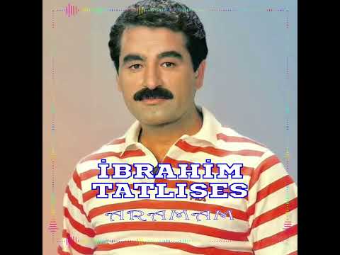 Müzik