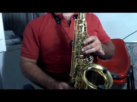 Hino 110 CCB Sax alto no soprano