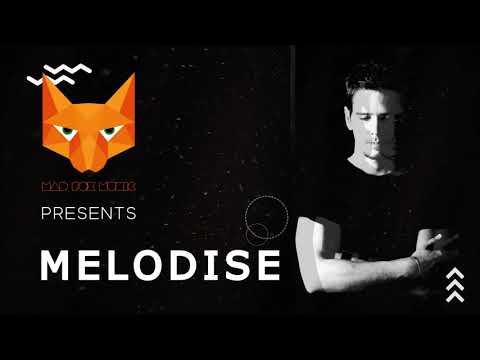 Mad Fox Music Presents - Melodise