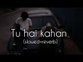 Tu Hai Kahan Slowed Reverb Raffey Usama Ahad