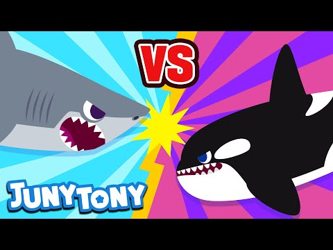 Great White Shark vs. Orca | Animal Songs for Kids | Sea Animals | Versus Song | JunyTony